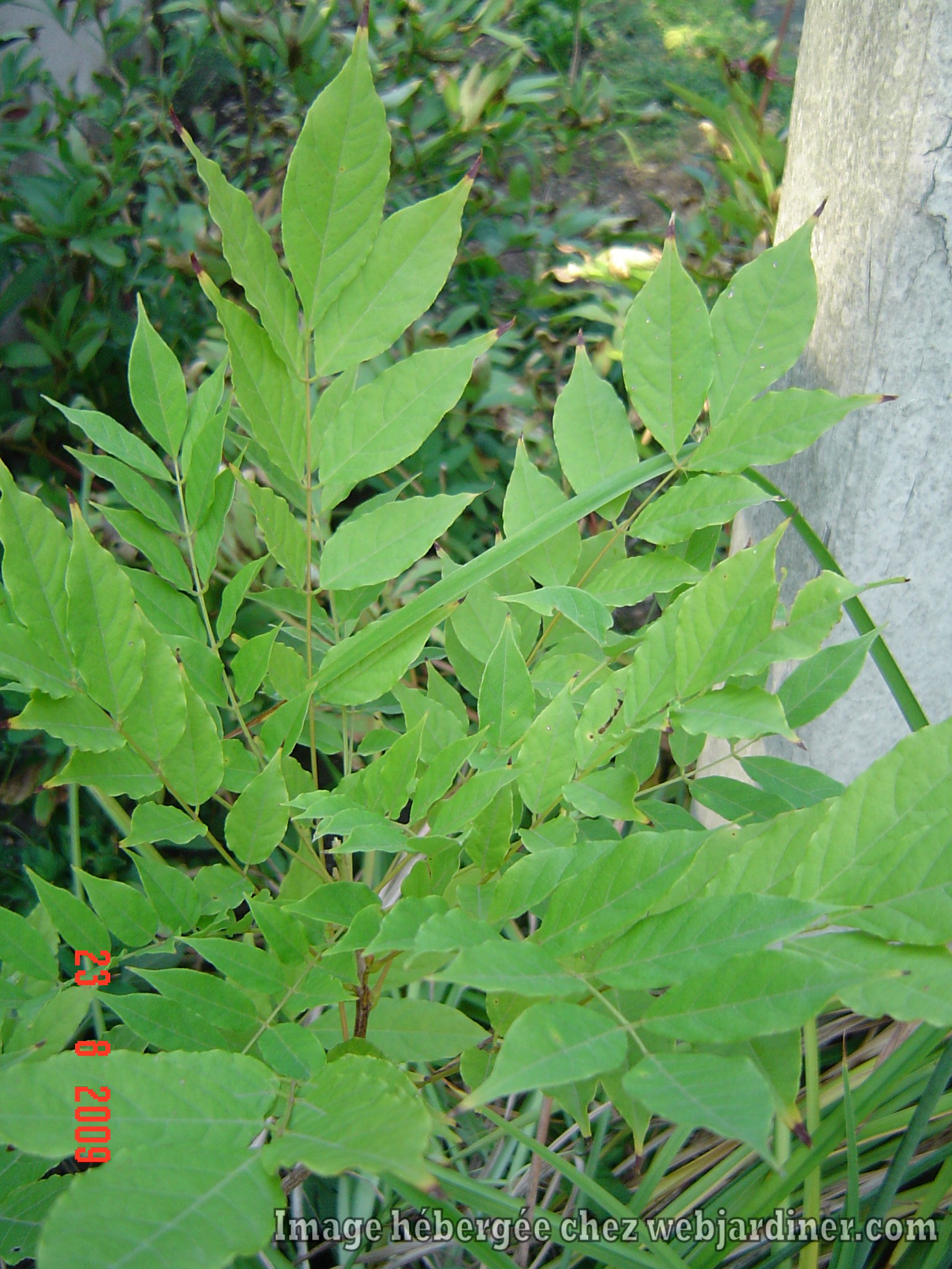 01f8547.jpg
