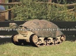 RcJK.jpg