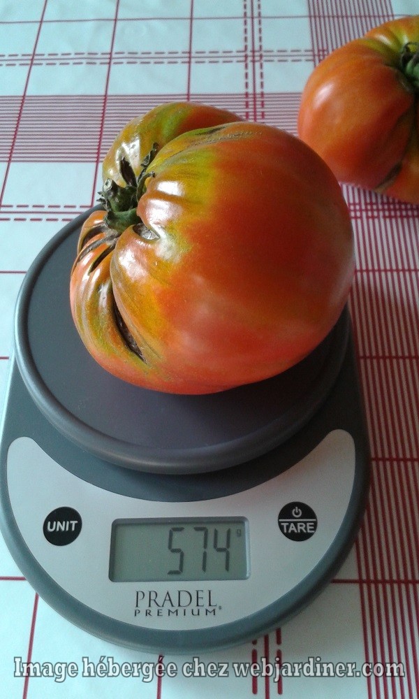 tomates003.jpg